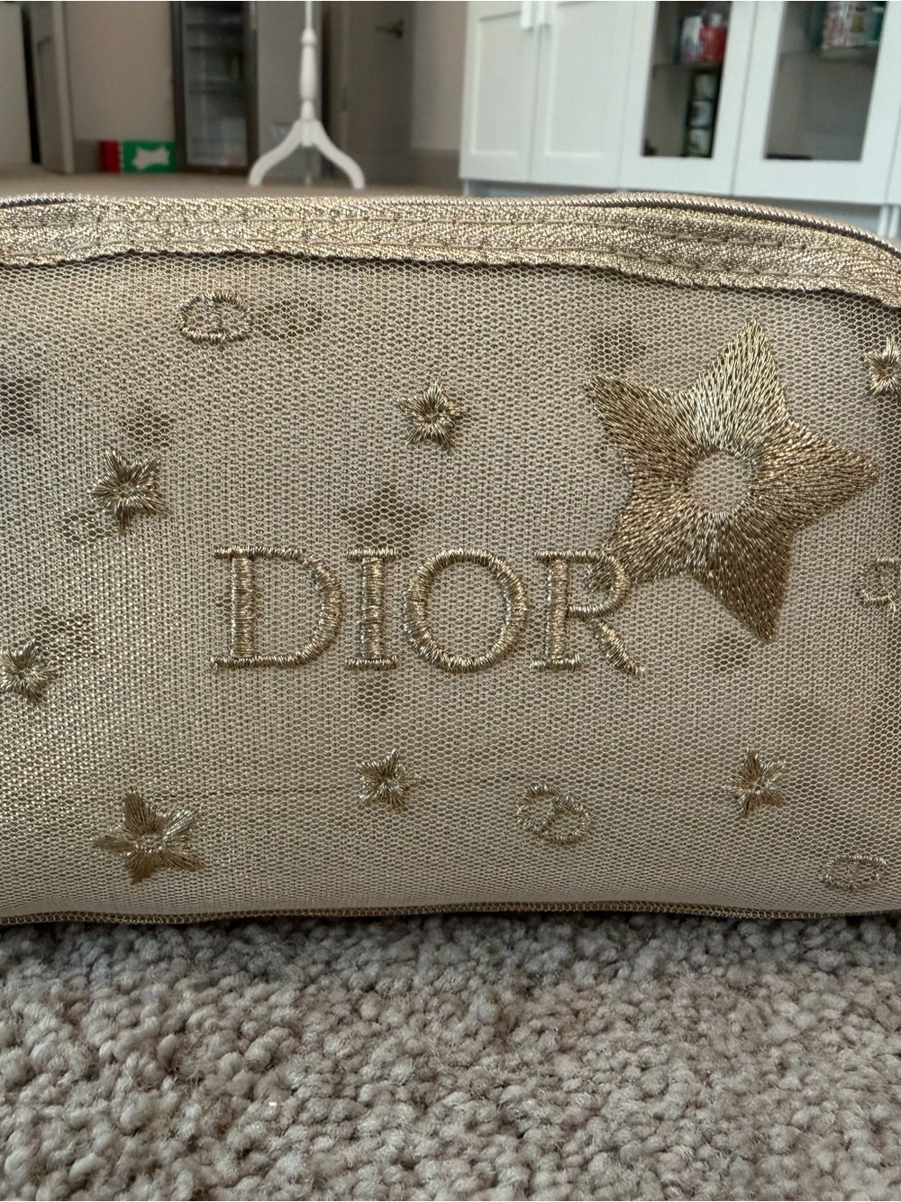 DIOR Gold Embroidered Star Travel Pouch